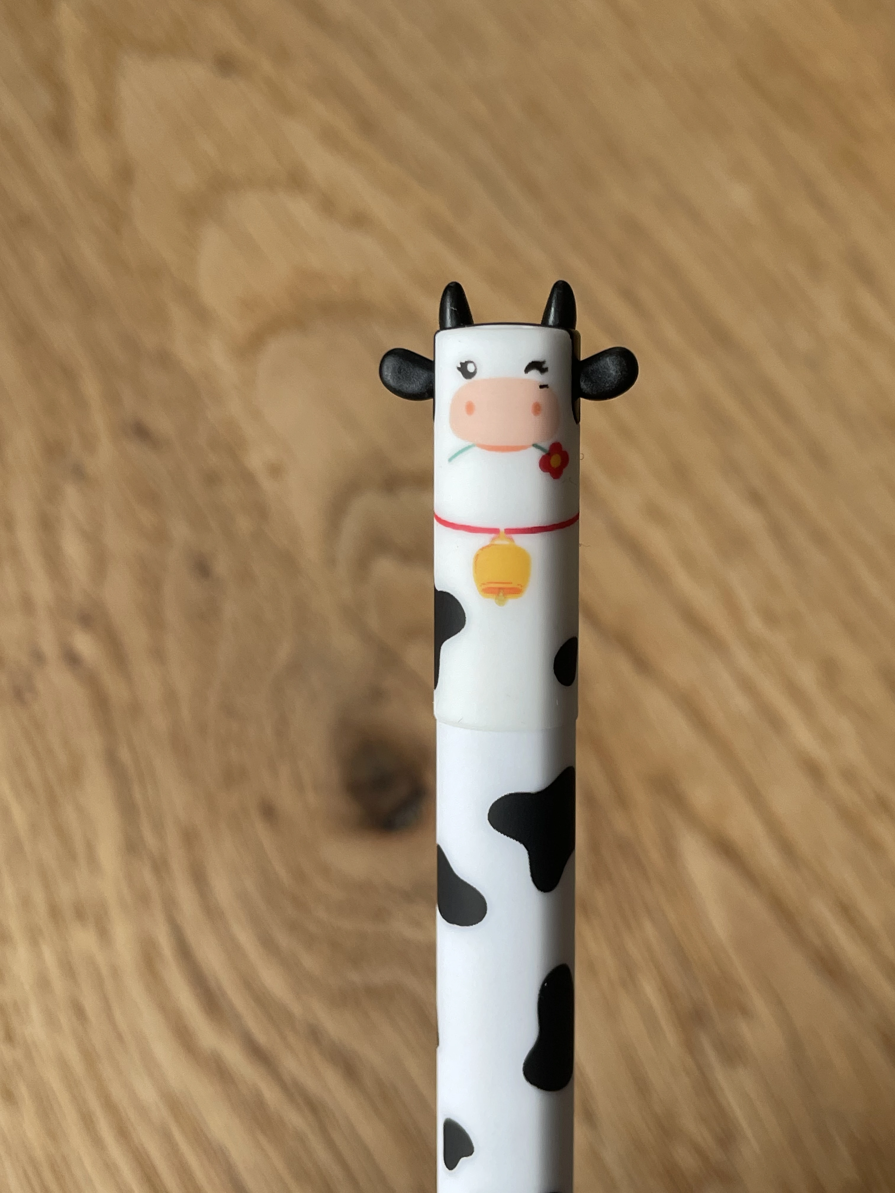 Kuh Always in the Mood Legami Erasable Pen – closeup